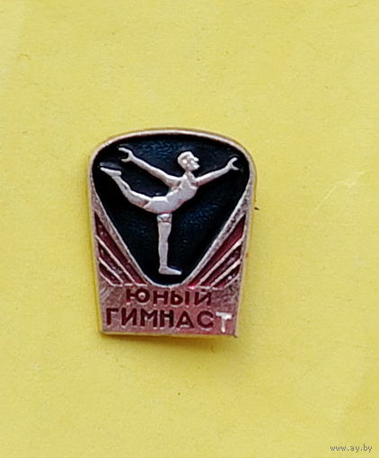 Юный гимнаст. 45.