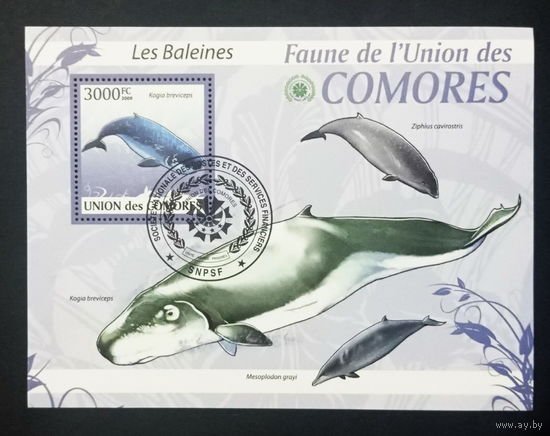 ЛИСТ ФАУНА рыбы морские обитатели  СТО