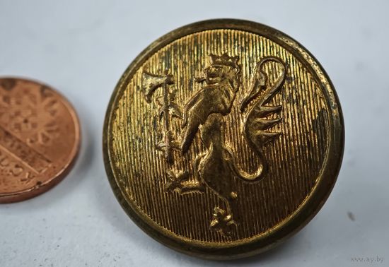 Норвегия   пуговица