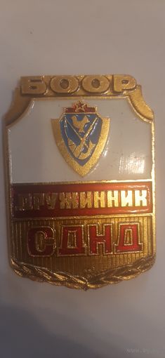 Дружинник БООР