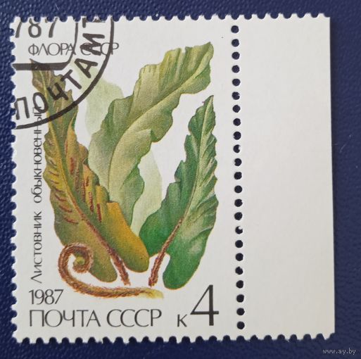 Ссср