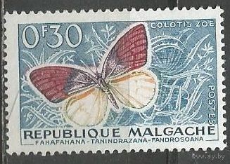 Республика Мадагаскар. Бабочка Белянка. 1960г. Mi#445.