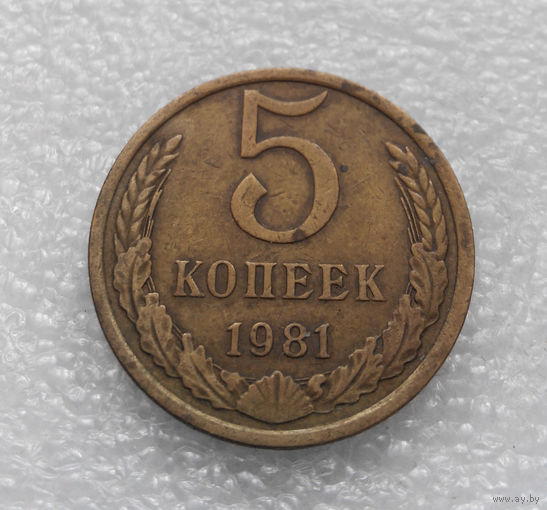 5 копеек 1981 СССР #05