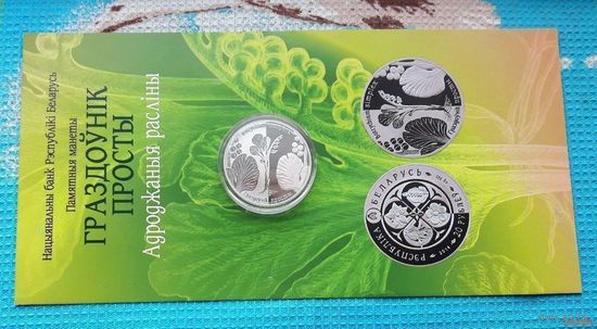 Беларусь 1 рубль 2014 года. Гроздовник простой. Cu-Ni 13.16 грамм. Буклет!
