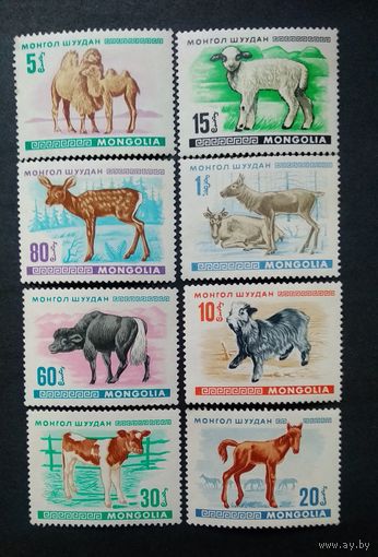 Фауна \37фа\ 1968 МОНГОЛИЯ Фауна Детёныши животных ч\б