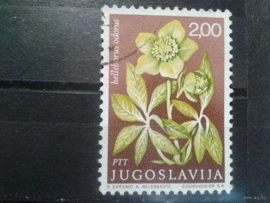 Югославия, 1969. Чемерица душистая