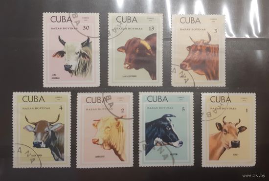 Куба. 1973 год. Фауна. Коровы (486)