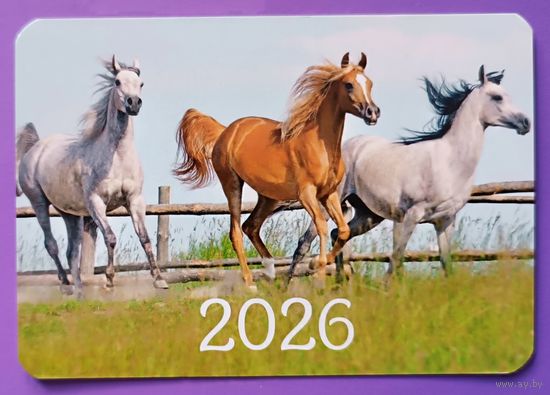 Лошади. Календарик, глянец, 2026. Траско