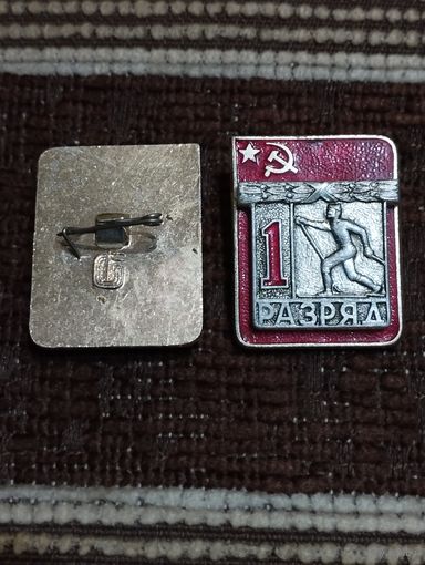 Лыжный спорт  1 разряд.