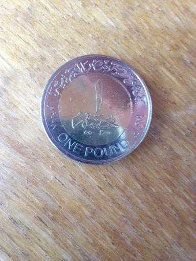 Монеты.Египет 1 фунт 2008 г.