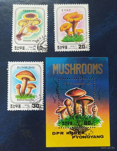 КНДР 1987 Грибы