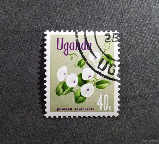 Марка Уганда 1969 год Цветы