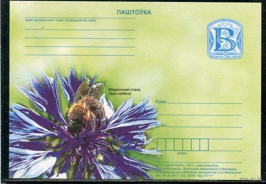 Беларусь 2011. ПК. Фауна. Медоносная пчела