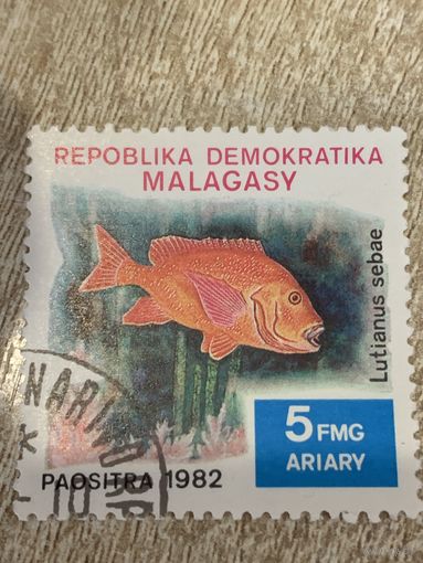 Мадагаскар 1982. Рыбы. Lutianus sebae. Марка из серии