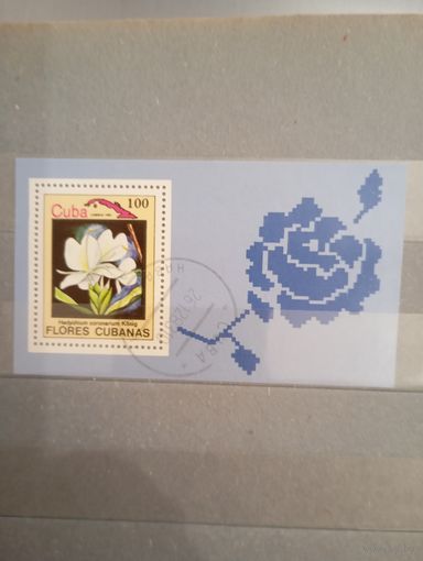 Флора куба блок