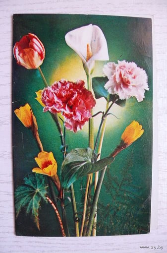 Костенко Г., С праздником! 1980, двойная, подписана.
