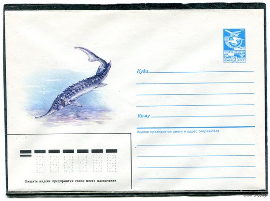 СССР 1985. ХМК. Конверт. Рыбы. Севрюга.  Худ. А.Исаков