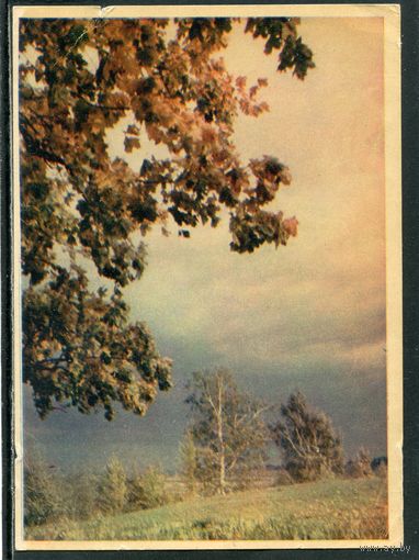 Пушкинский заповедник. У входа в парк Тригорского. изд. 1956