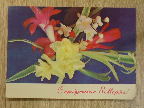 ПОДПИСАННАЯ ОТКРЫТКА . СССР. "С ПРАЗДНИКОМ 8 МАРТА ." фото. Г. КОСТЕНКО. 1972 ГОД.