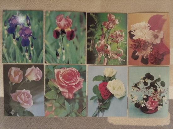 Мини-открытки чистые 8 шт.одним лотом