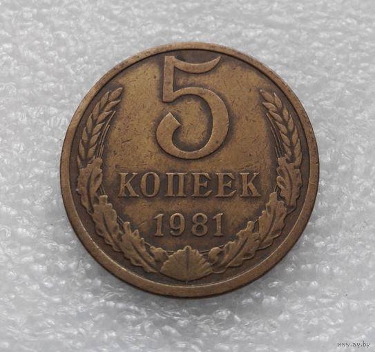 5 копеек 1981 СССР #06
