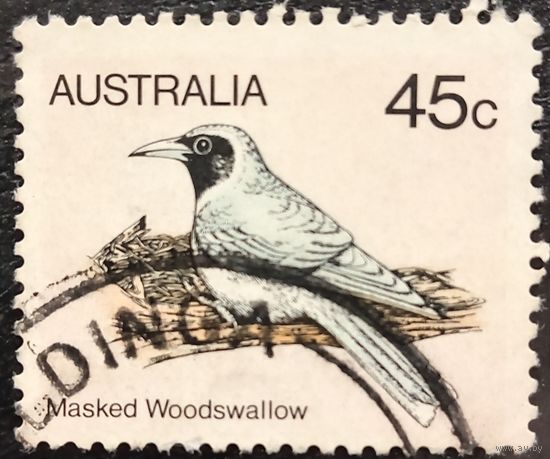 Австралия. Фауна. Птицы. Masked Woodswallow
