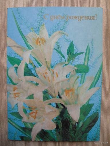 ПОДПИСАННАЯ ОТКРЫТКА. СССР. С ДНЕМ РОЖДЕНИЯ. ФОТО. М. ДЕРГИЛЕВА. 1989 г.