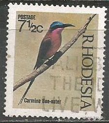 Родезия. Птицы. Нубийская Щурка. 1971г. Mi#101.