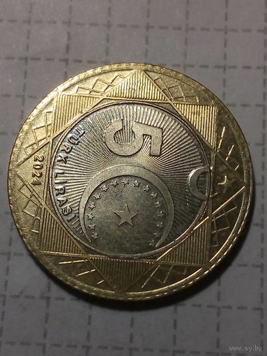 5 лир Турция 2024 год