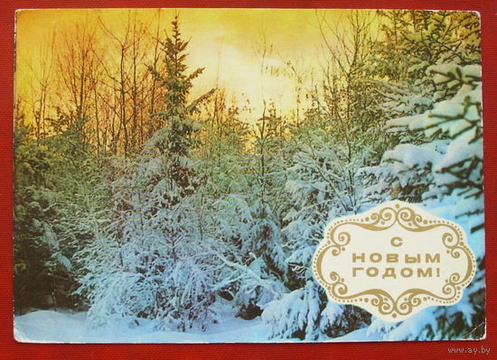 С новым годом! Подписанная. 1975 года. Костенко. 449.