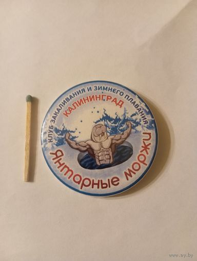 Значок клуба закаливания и зимнего плавания Янтарные моржи из Калининграда.
