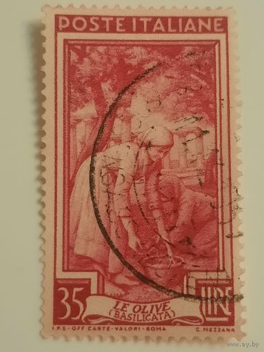 Италия 1952. Сборщики оливок