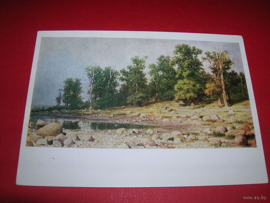 Шишкин Побережье дубовой рощи чистая