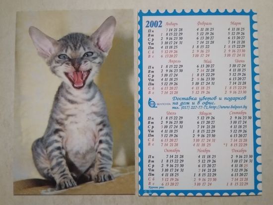 Карманный календарик . Котик. Белпочта. 2002 год