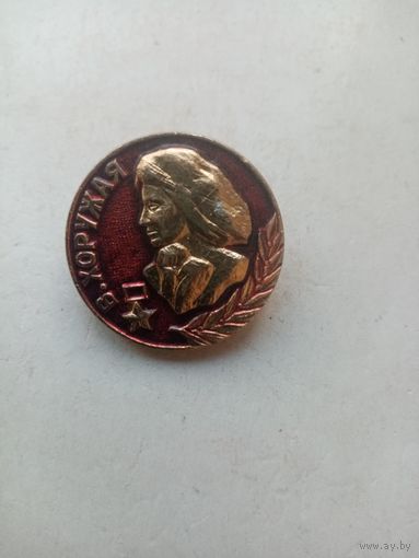 ЗНАЧОК В.ХОРУЖАЯ