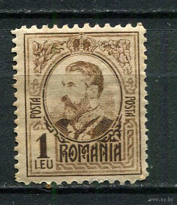 Королевство Румыния - 1908 - Король Кароль I 1L - [Mi.218] - 1 марка. MH.  (Лот 18Gs)-T41P15