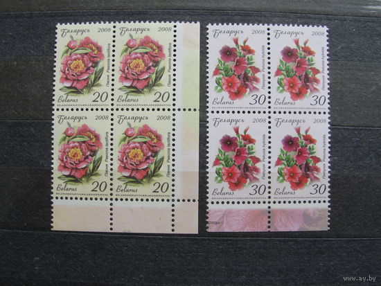 Продажа коллекции с 1 рубля! Чистые почтовые марки РБ в квартблоках.