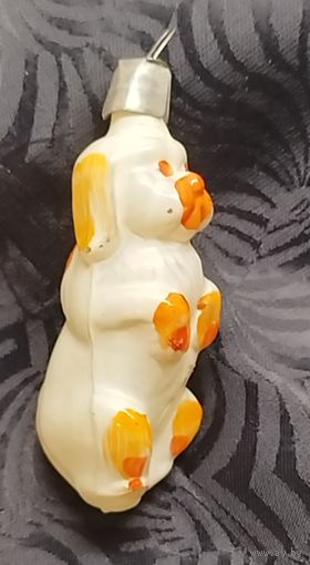 Цирковая собачка