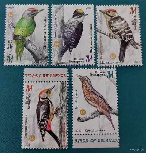 Беларусь 2022 Птицы, дятлы