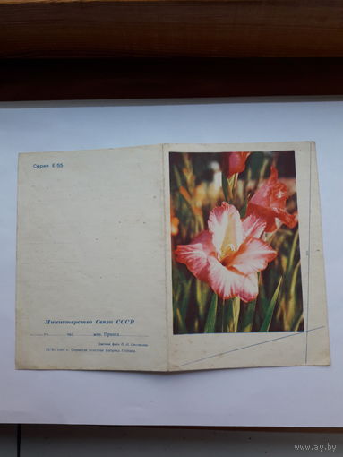 Телеграмма СССР серия Е-55 ППФГ 1966