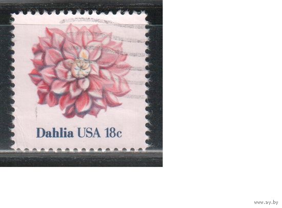 США-1981, (Мих.1461) ,  гаш. , Флора Цветы,