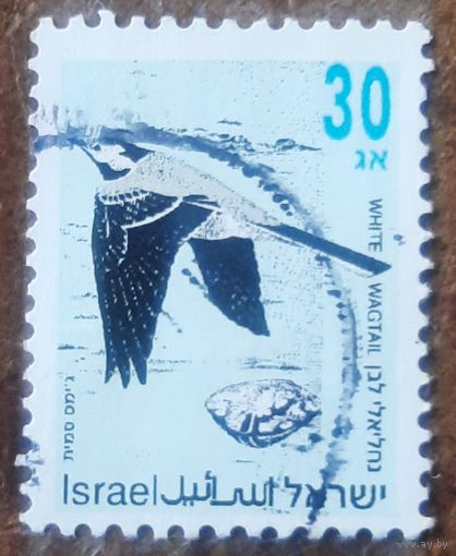 Израиль 1992. Певчие птицы. Белая трясогузка