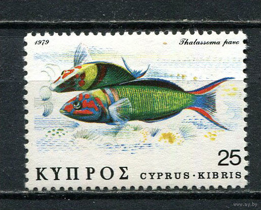 Кипр - 1979 - Рыбки 25М - [Mi.504] - 1 марка. MNH.  (Лот 14HF)-T41P9