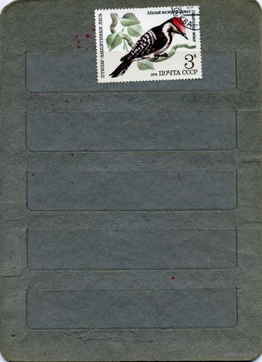 СССР, 1979, ПТИЦЫ - защитники леса, 1м