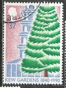 Британия. 150 лет садам Лондона. Ливанский кедр. 1990г. Mi#1273.