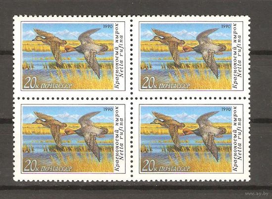 СССР.Квартблок 1990.Красноносый нырок. Утки.Состояние отличное.ЧиСт.