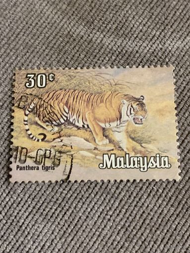 Малайзия. Тигр. Марка из серии
