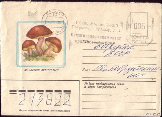1983 год Маслёнок 2