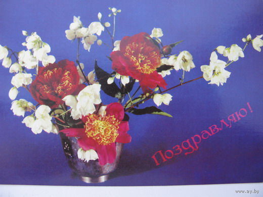 Поздравляю  1990г.