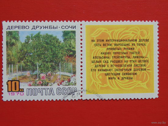 СССР 1970г. Дерево дружбы. Сочи.